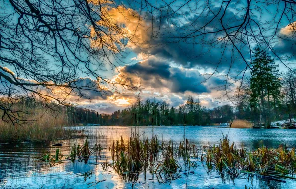 Picture the sky, clouds, trees, landscape, sunset, nature, lake, reflection