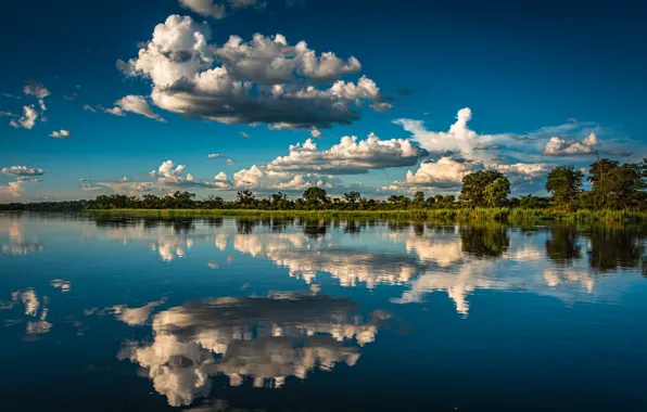 Picture clouds, trees, reflection, river, Africa, Namibia, Namibia, The Okavango River, Okavango River, The Caprivi Strip, …