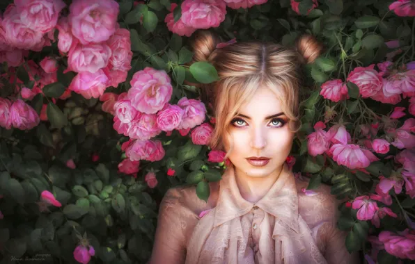 Picture look, girl, flowers, face, roses, rose bushes, Ilona Bimova, Christina Believe