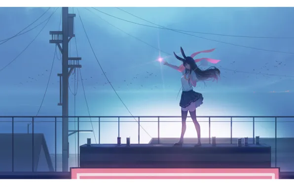 Picture roof, girl, star, ears