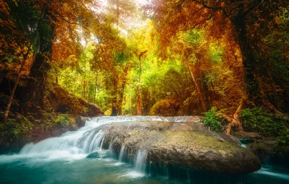 Picture autumn, forest, landscape, river, rocks, waterfall, forest, river, landscape, beautiful, autumn, leaves, waterfall