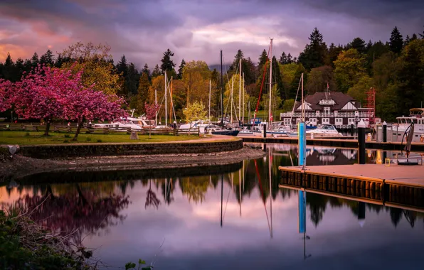 Picture trees, house, shore, Marina, spring, boats, pier, flowering, pond