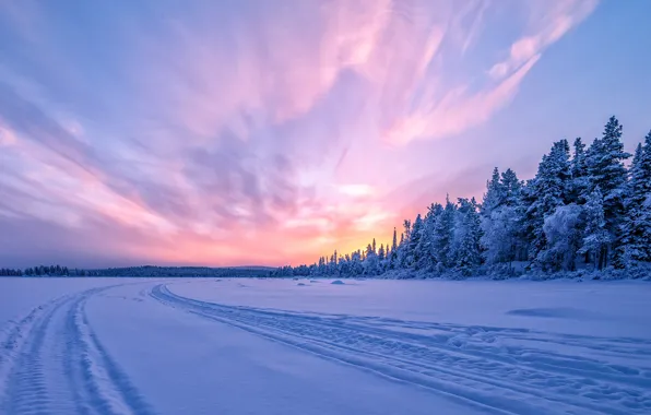 Picture winter, forest, snow, sunset, Sweden, Sweden, замёрзшая река, Torne River, Река Турнеэльвен