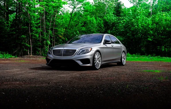 Picture Mercedes, Silver, Forest, S-class, W222, S63