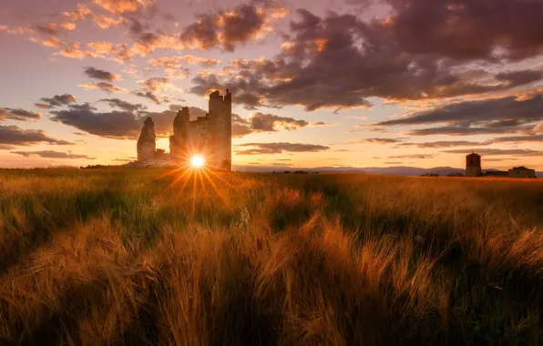 Picture field, the sun, clouds, rays, sunset, castle, dawn, rye, ears, ruins, rye field
