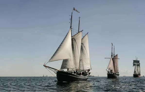 Picture the ocean, ships, parade, плавание под парусами, Danish Tall Ships from United Sailing Ships, Датские …