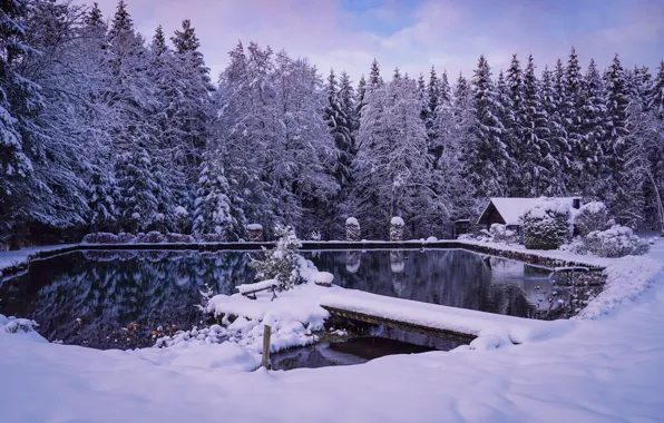 Picture winter, forest, snow, lake, house, pond