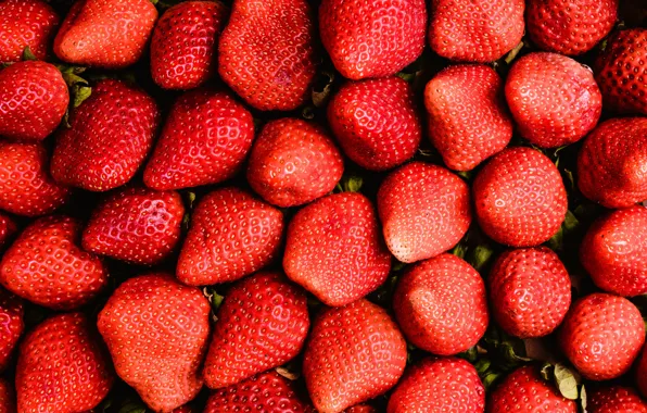 Picture berries, strawberry, red, fresh, wood, ripe, sweet, strawberry, berries