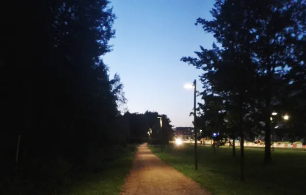 Picture road, night, lantern