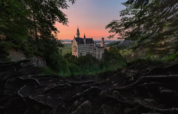 Picture forest, trees, roots, castle, view, Germany, Neuschwanstein