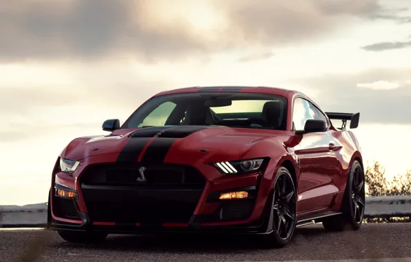 Picture clouds, Mustang, Ford, Shelby, GT500, bloody, 2019