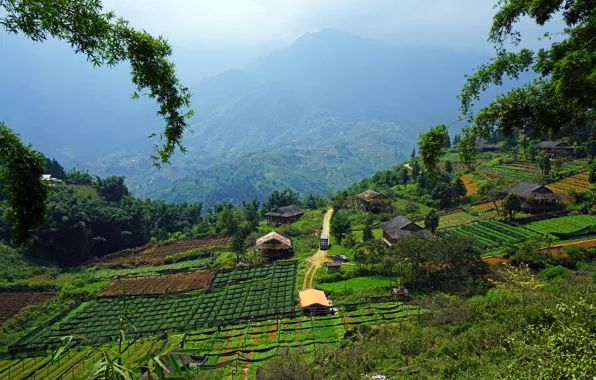 Picture greens, the sun, mountains, field, valley, panorama, houses, Vietnam, plantation, Sapa, Muong Hoa Valley