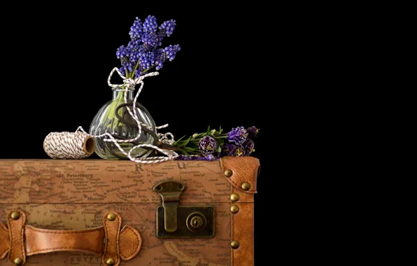 Picture flowers, retro, bouquet, rope, purple, vase, suitcase, black background, still life, scissors, Muscari, Aquilegia