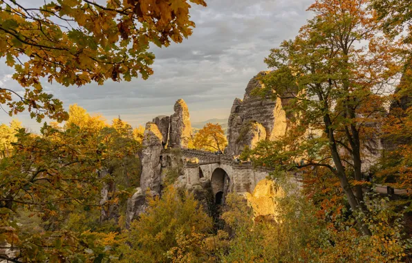 Picture autumn, trees, mountains, bridge, rocks, Germany, Germany, Elbe Sandstone mountains, Bastei, Elbe Sandstone Mountains, National …