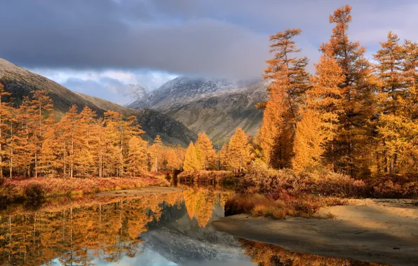 Picture autumn, clouds, trees, landscape, mountains, nature, reflection, river, Bank, Blizzard, Kolyma, Maxim Evdokimov