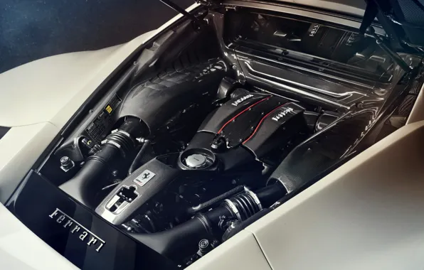 Picture engine, Ferrari, Novitec, 488, Pista, 2019, V8 twin-turbo