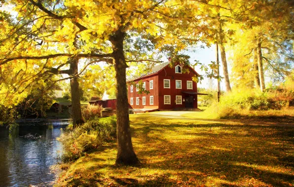 Picture autumn, trees, house, Park, foliage, Golden autumn