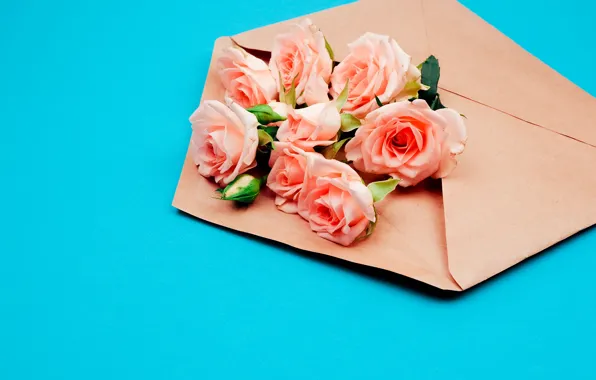 Picture flowers, roses, the envelope