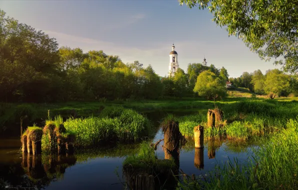 Picture summer, trees, nature, river, morning, Church, Russia, Agoranov Alex