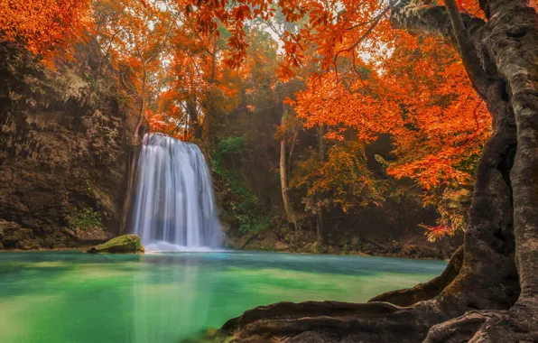 Picture autumn, forest, photo, waterfall