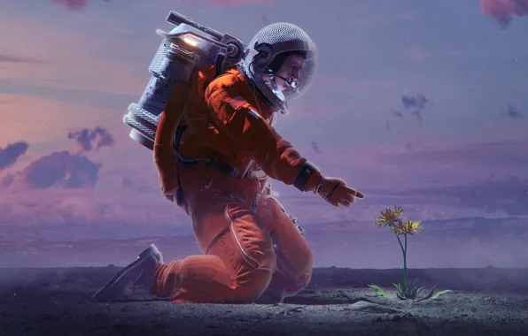 Picture Flowers, Flower, The suit, People, Style, Astronaut, Astronaut, Fantasy, Art, Graphics, Art, Flower, Flowers, Style, …