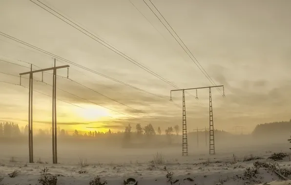 Picture winter, fog, morning, power lines