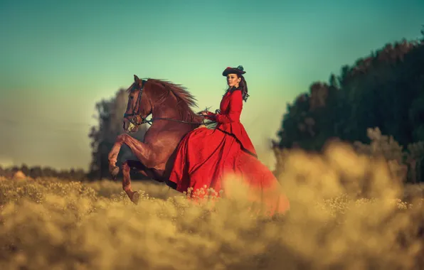Picture field, the sky, girl, horse, dress, brunette, Annie Of Antikov