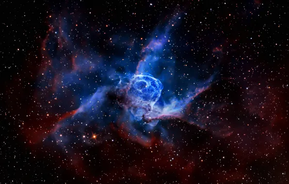 Picture Stars, Nebula, NGC 2359, Sharpless 2-298, Constellation of Canis Major, Wolf-Rayet star WR7, Emission Nebula, …