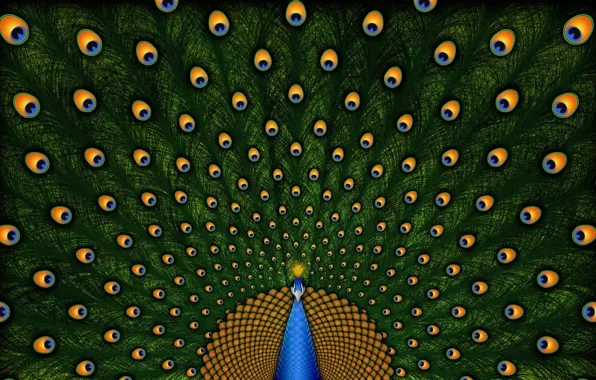 Picture nature, pattern, peacock