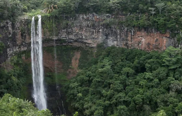 Picture forest, waterfall, jungle, abyss, Mauritius, Mauritius, Waterfalls near Chamarel
