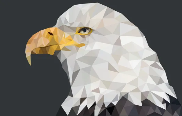 Picture america, eagle, beast, geometric