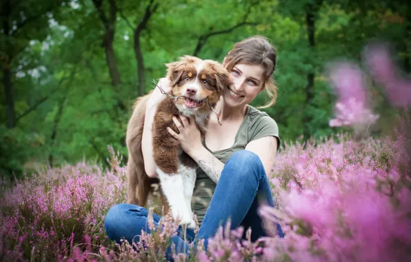Picture summer, girl, nature, smile, dog