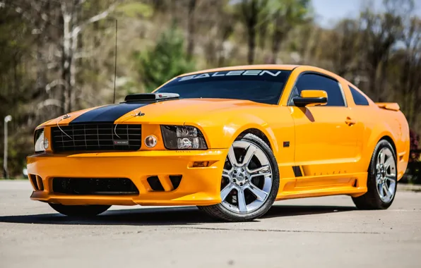 Picture Mustang, Ford, 2008, Saleen, S302, Extreme