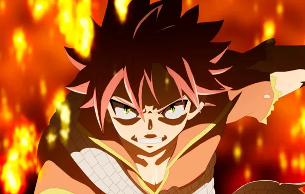 Picture fire, guy, Fairy Tail, Natsu Dragneel, Fairy tail