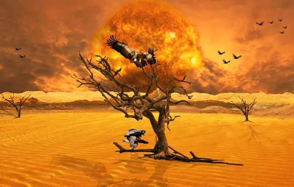 Picture sand, the sun, flight, birds, branches, rendering, fantasy, tree, fire, flame, collage, Apocalypse, desert, planet, …