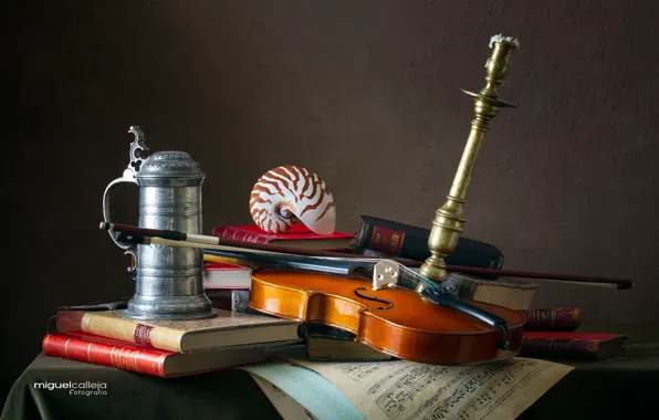 Picture notes, violin, books, shell, mug, still life, candle holder