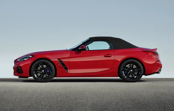 Picture red, BMW, profile, Roadster, BMW Z4, First Edition, M40i, Z4, 2019, convertible top, G29