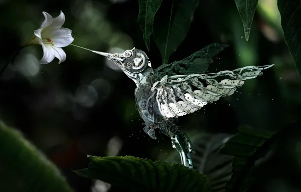 Picture flower, mechanism, robot, bird