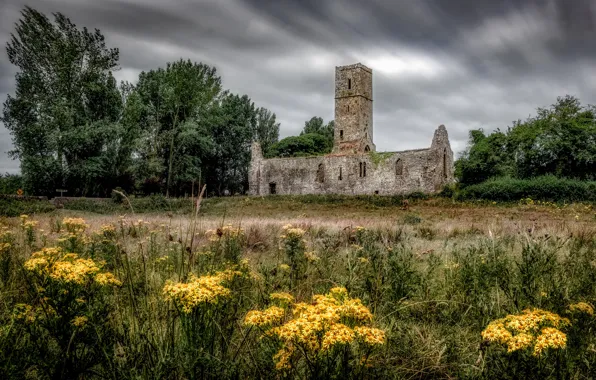 Picture field, grass, trees, flowers, clouds, castle, glade, yellow, meadow, ruins, gloomy sky