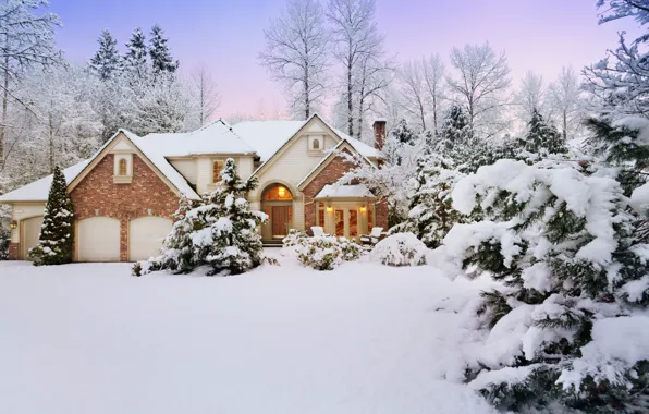 Picture Winter, Snow, Winter, Snow, Snow trees, Зимний коттедж, Снежные деревья, Winter cottage