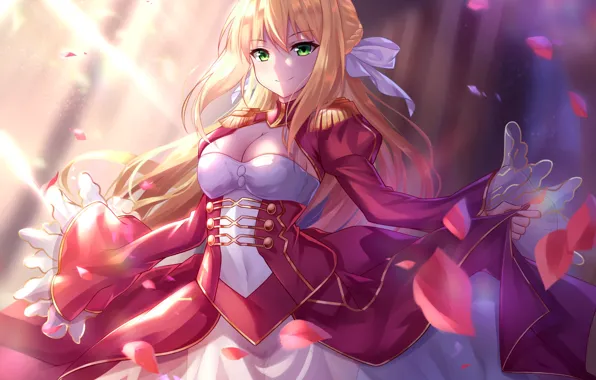 Picture girl, anime, dress, Fate / Grand Order, The destiny of a great campaign