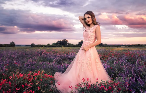 Picture summer, the sky, girl, flowers, pose, the evening, dress, beautiful, Sergey Shatskov