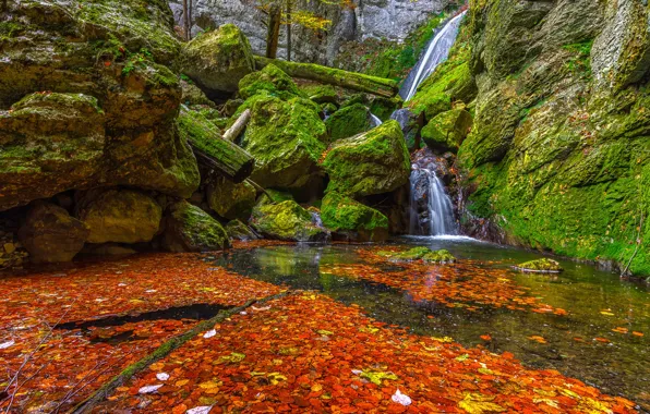 Picture autumn, leaves, stones, waterfall, moss, green, red, orange, pond, boulders, autumn