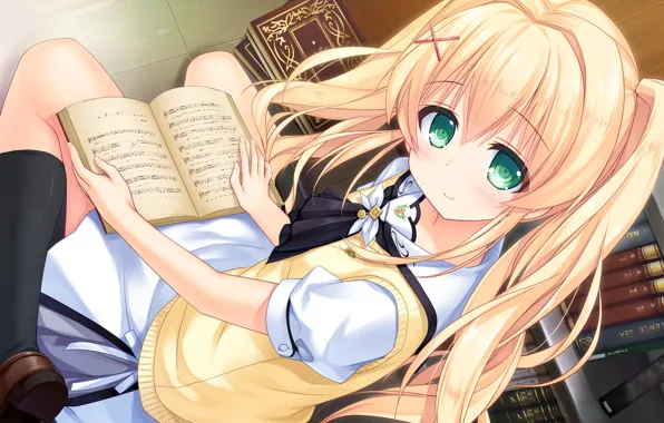 Picture look, girl, book, Summer Pockets