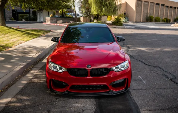 Picture BMW, Front, RED, Face, F80, Sight