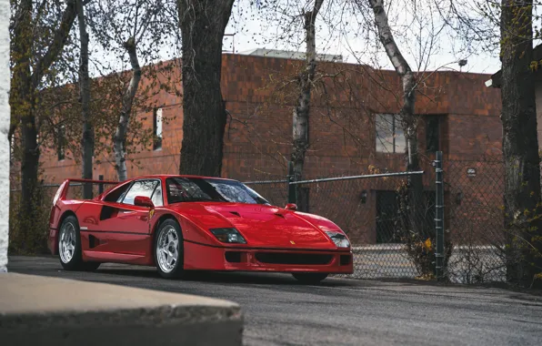 Picture Red, F40, Street