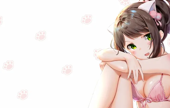 Picture girl, sexy, lingerie, bra, cleavage, green eyes, boobs, animal ears, anime, beautiful, short hair, pretty, …