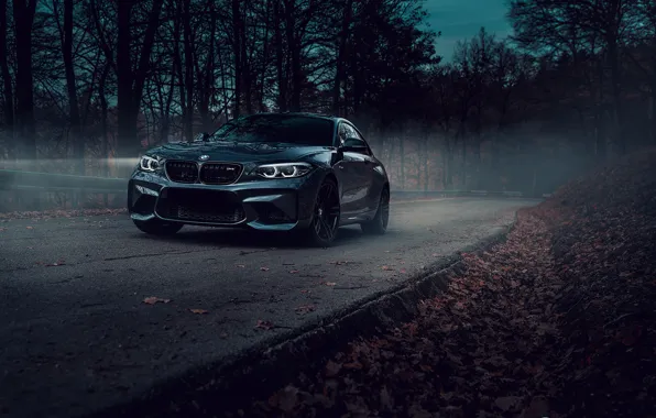 Picture road, forest, BMW, car