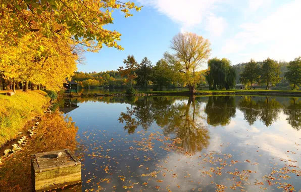 Picture autumn, the sky, leaves, water, the sun, trees, pond, reflection