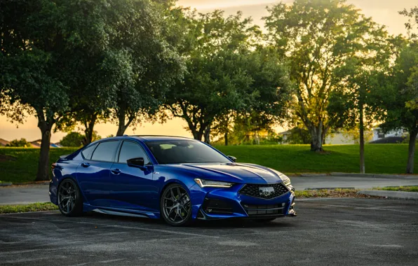 Picture Blue, Acura, Trees, TLX
